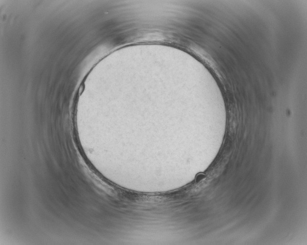 X0000062871475200602031704