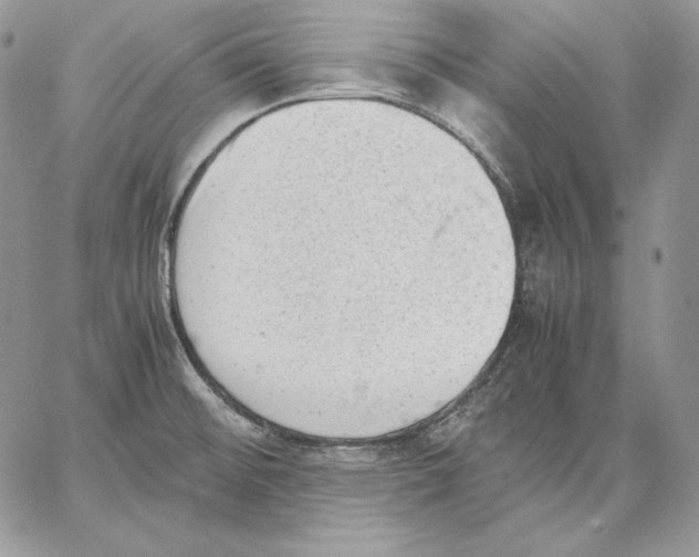 X0000062871476200602031704