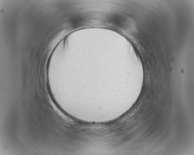 X0000062871479200602031704