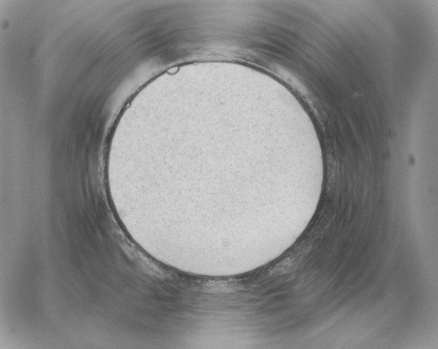 X0000062871480200602031704