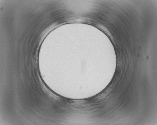 X0000062871483200602031704