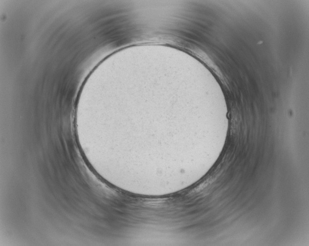 X0000062871484200602031704