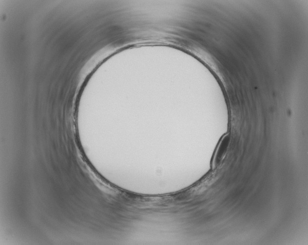 X0000062871485200602031704