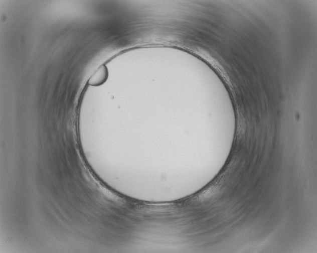 X0000062871486200602031704