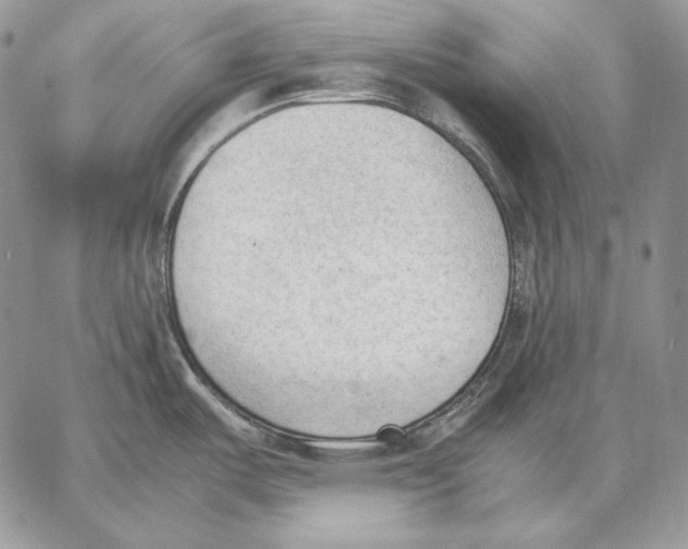 X0000062871487200602031704