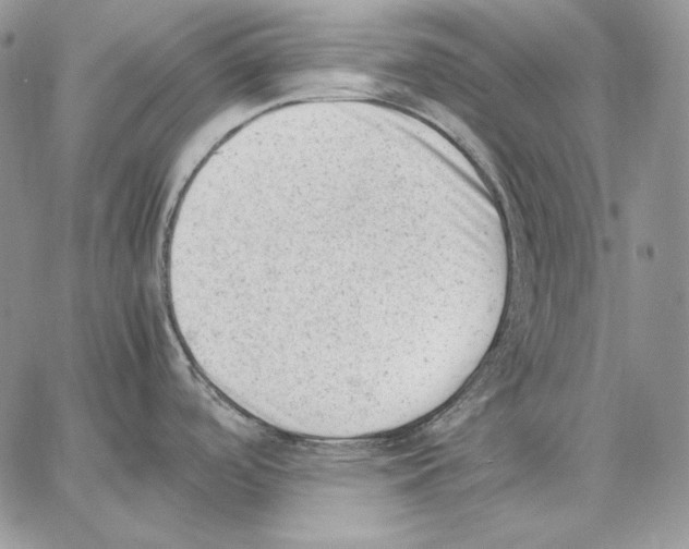 X0000062871488200602031704