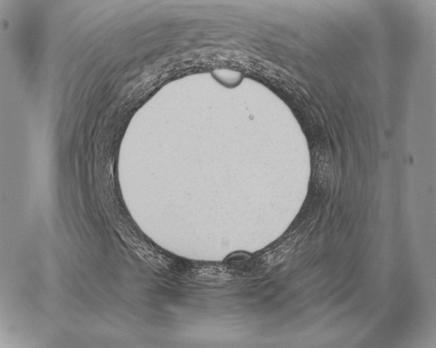 X0000062871489200602031703