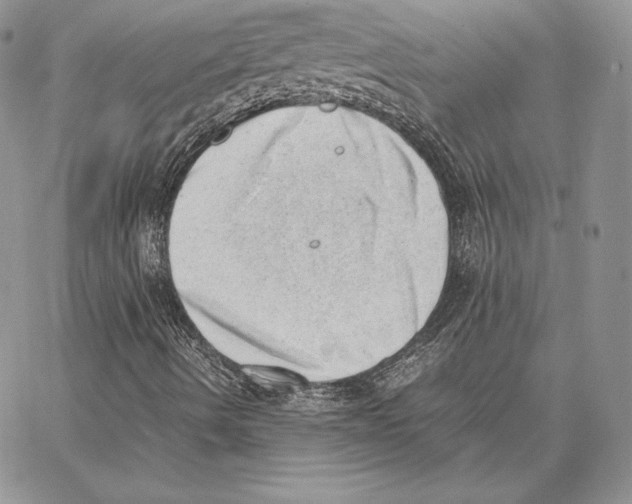 X0000062871490200602031703