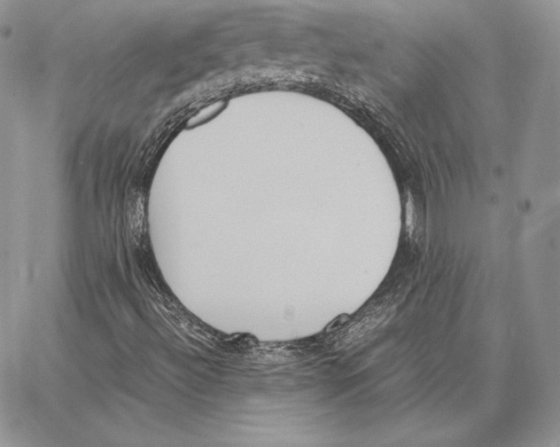 X0000062871492200602031703