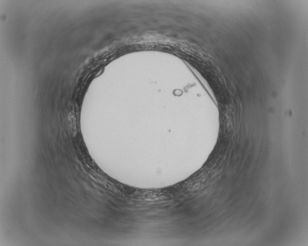 X0000062871493200602031703