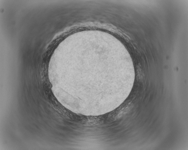 X0000062871494200602031703