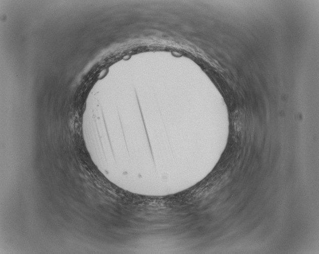 X0000062871495200602031703