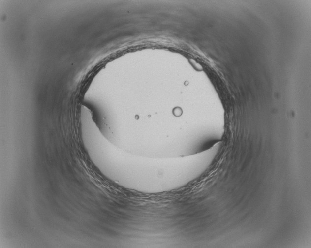 X0000062871496200602031703