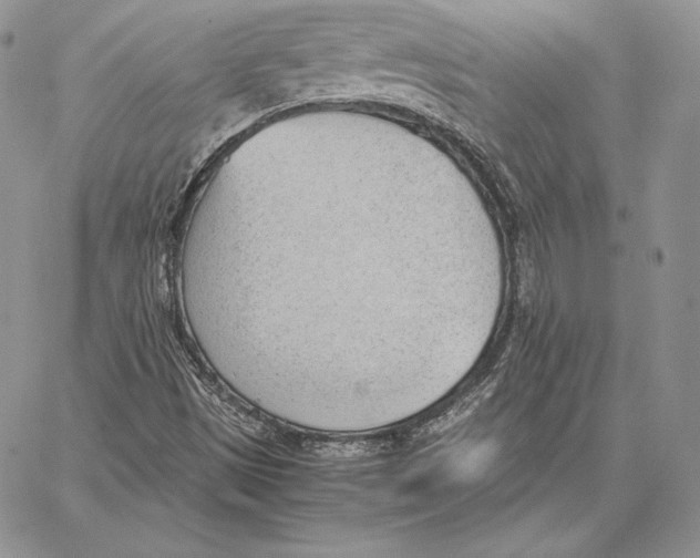 X0000062871497200602031703