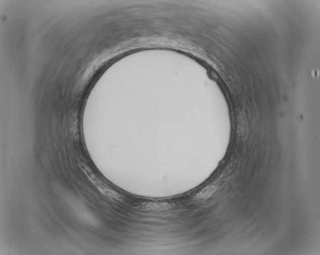 X0000062871499200602031703