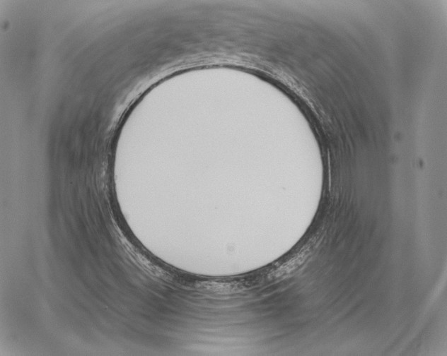 X0000062871500200602031703