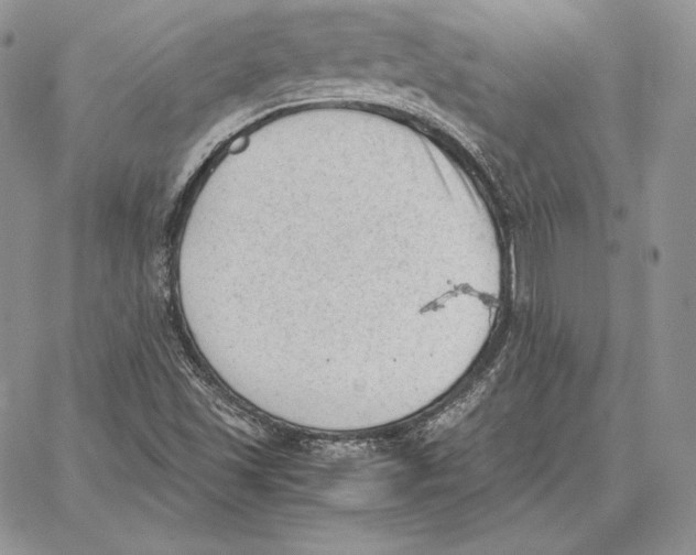 X0000062871501200602031703