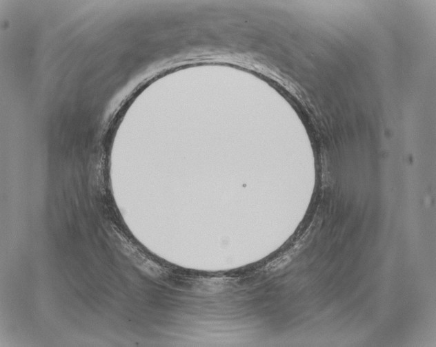 X0000062871502200602031703