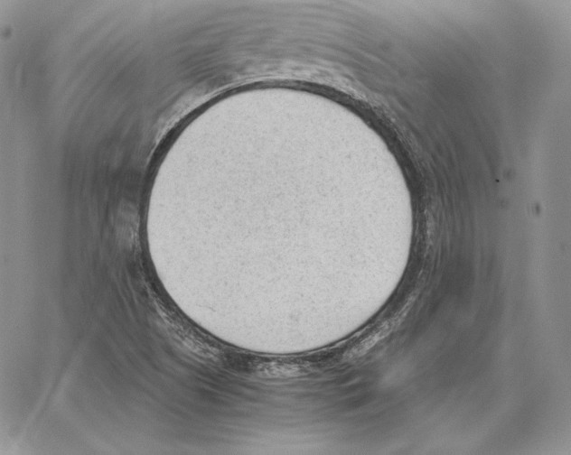 X0000062871505200602031704