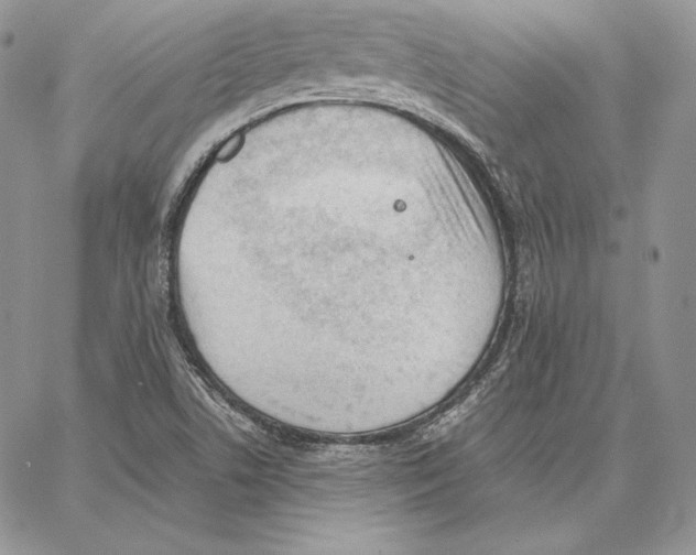 X0000062871506200602031704