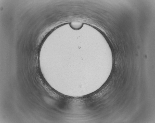 X0000062871507200602031704