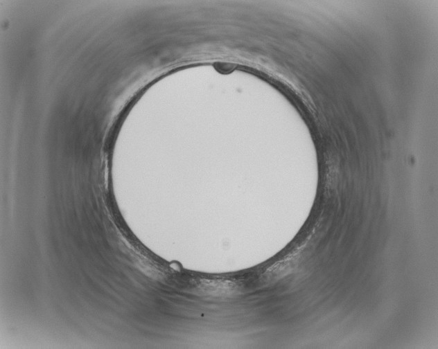 X0000062871509200602031704