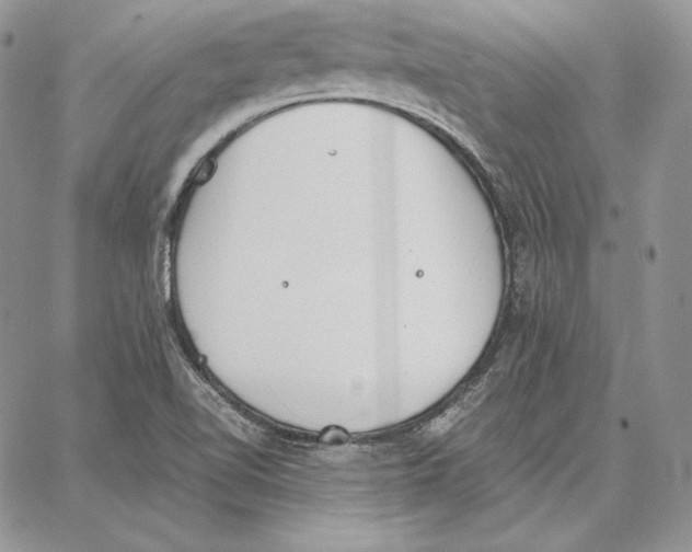 X0000062871510200602031704