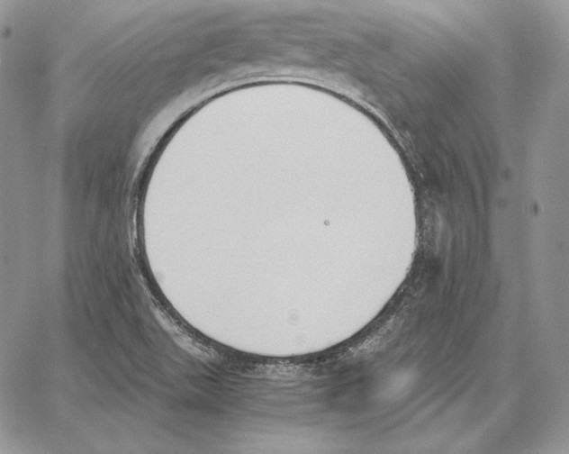 X0000062871511200602031704