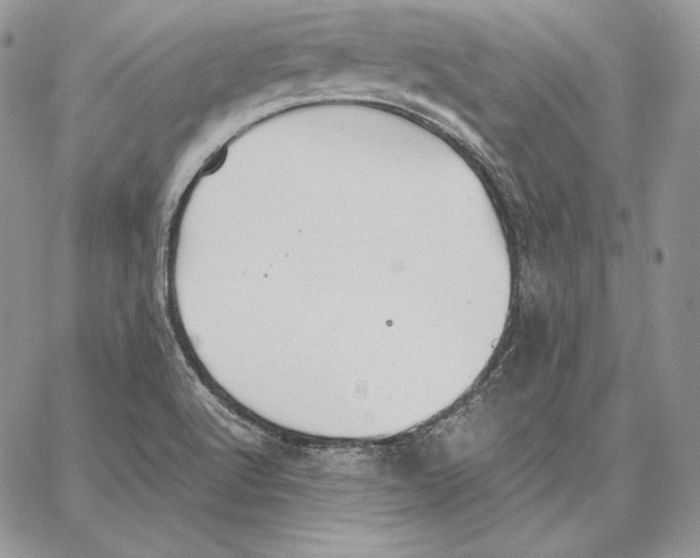 X0000062871512200602031704