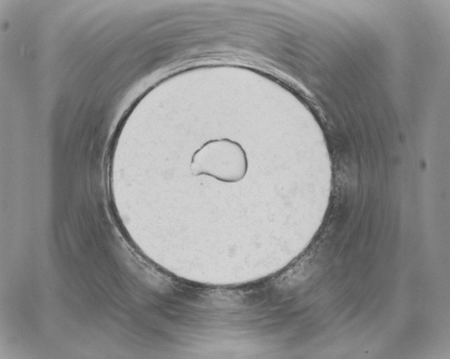 X0000062871514200602031704