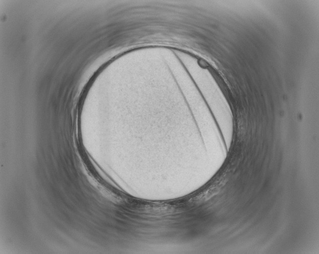 X0000062871515200602031704