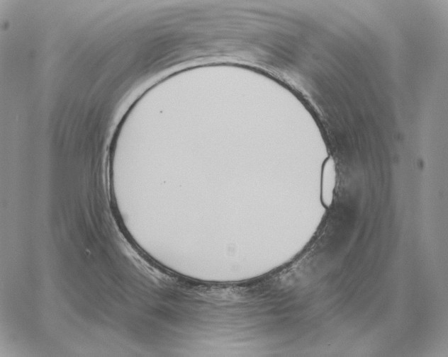 X0000062871516200602031704