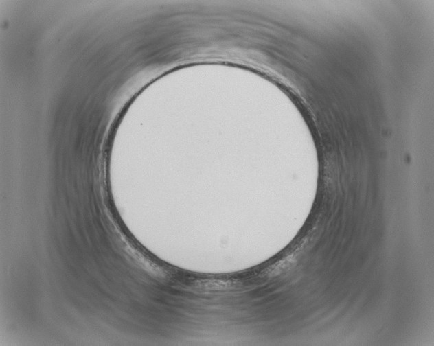 X0000062871517200602031704