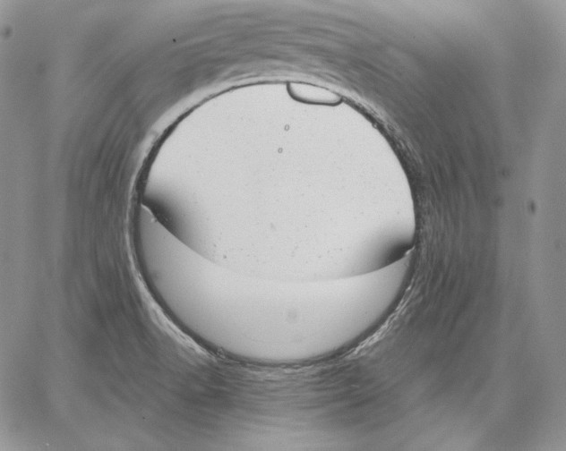 X0000062871518200602031704