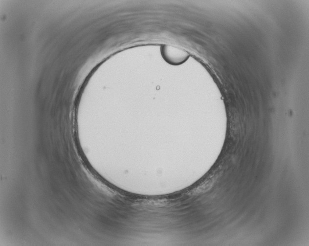 X0000062871519200602031704