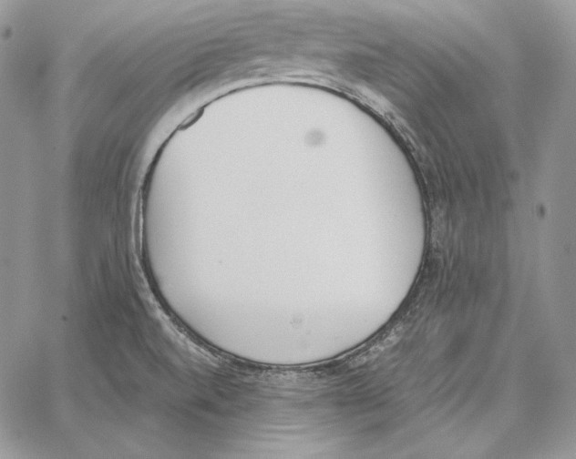 X0000062871520200602031704