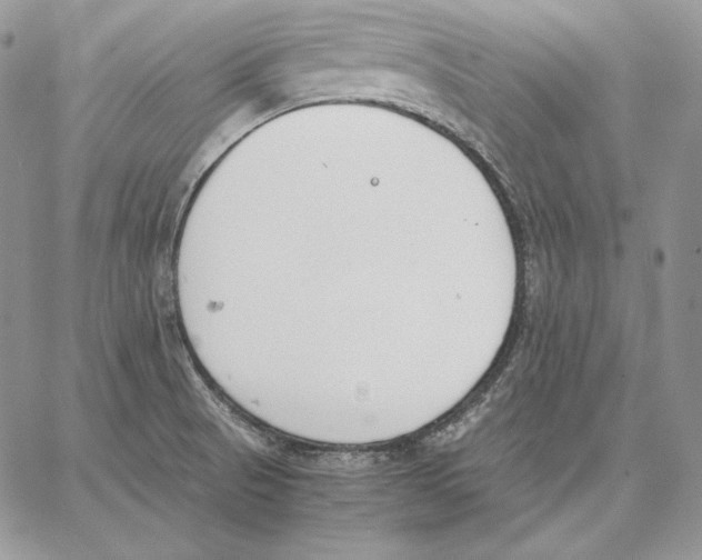 X0000062871521200602031704