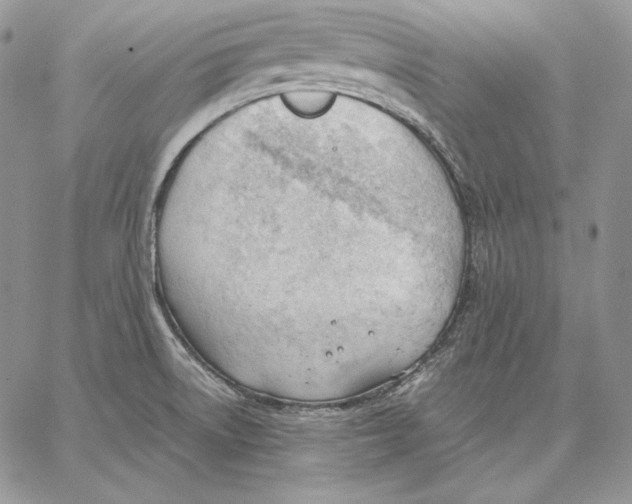 X0000062871522200602031704