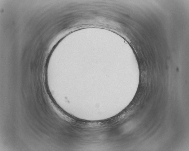 X0000062871523200602031704