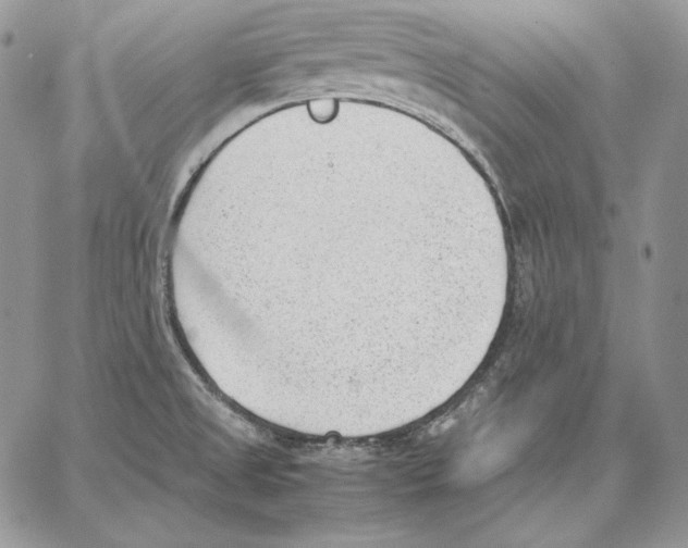 X0000062871525200602031704