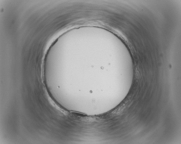 X0000062871528200602031704