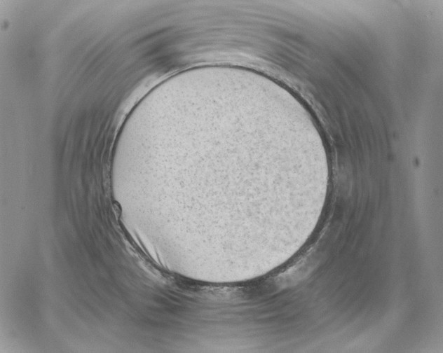 X0000062871529200602031704