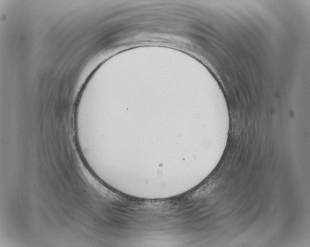 X0000062871531200602031704