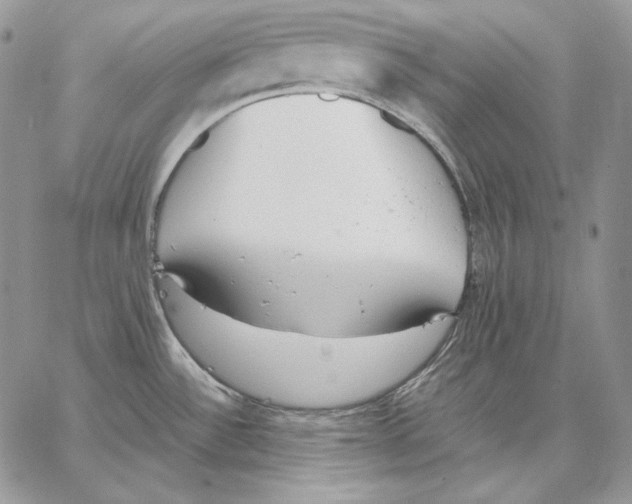 X0000062871532200602031704