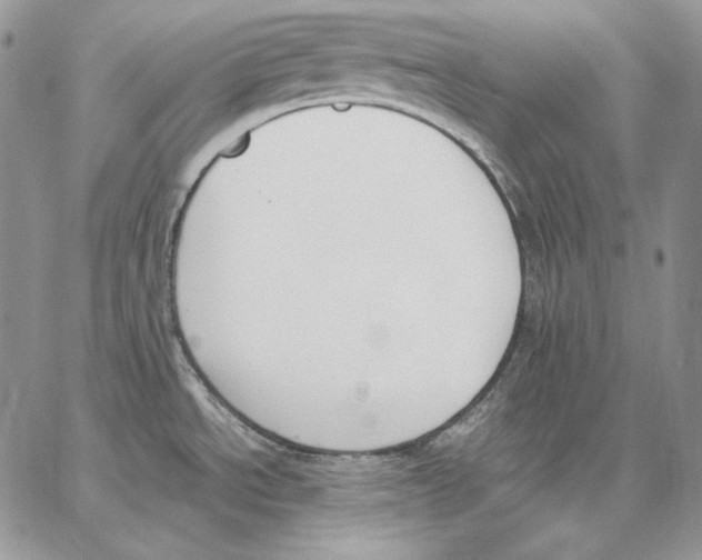 X0000062871534200602031704