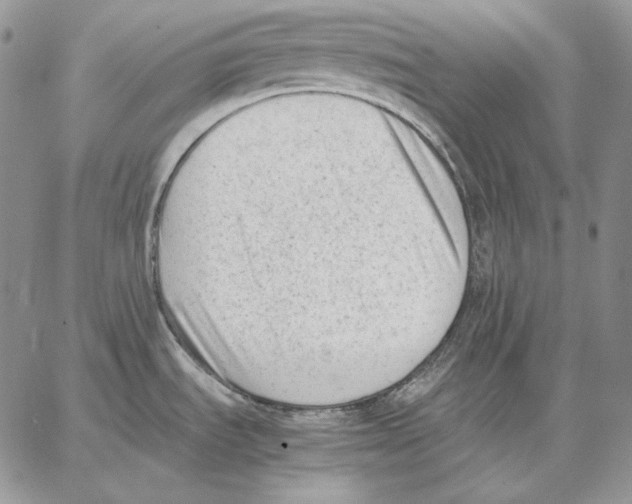 X0000062871535200602031704