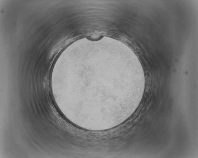 X0000062870002200602101703