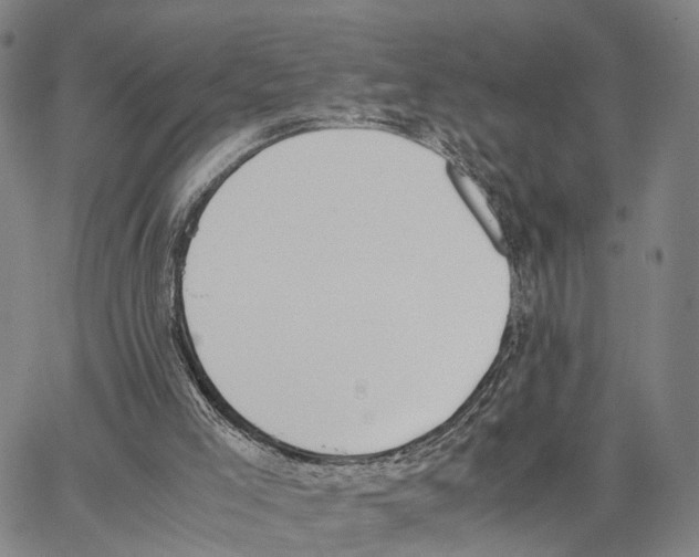 X0000062870005200602101703