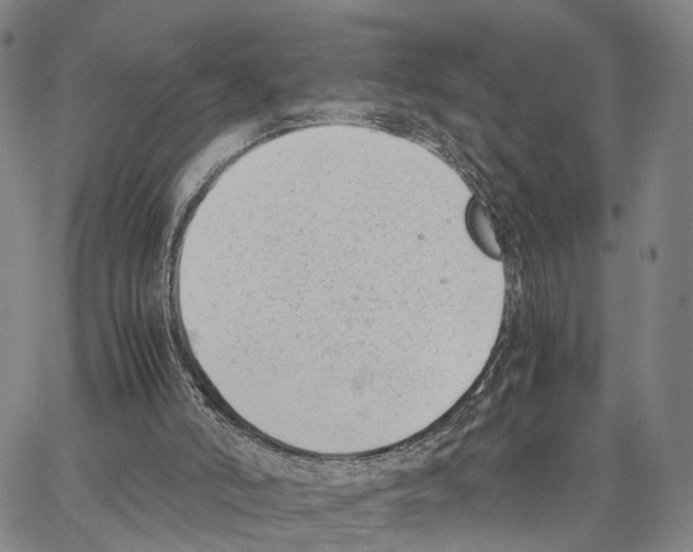 X0000062870006200602101703