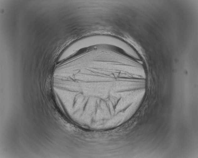 X0000062870009200602101703